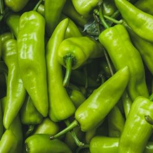 GREEN CHILLI