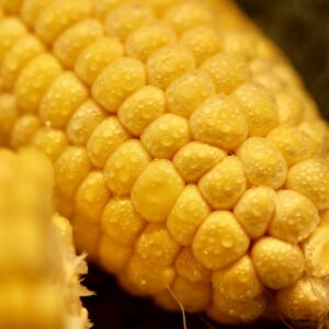 SWEET CORN